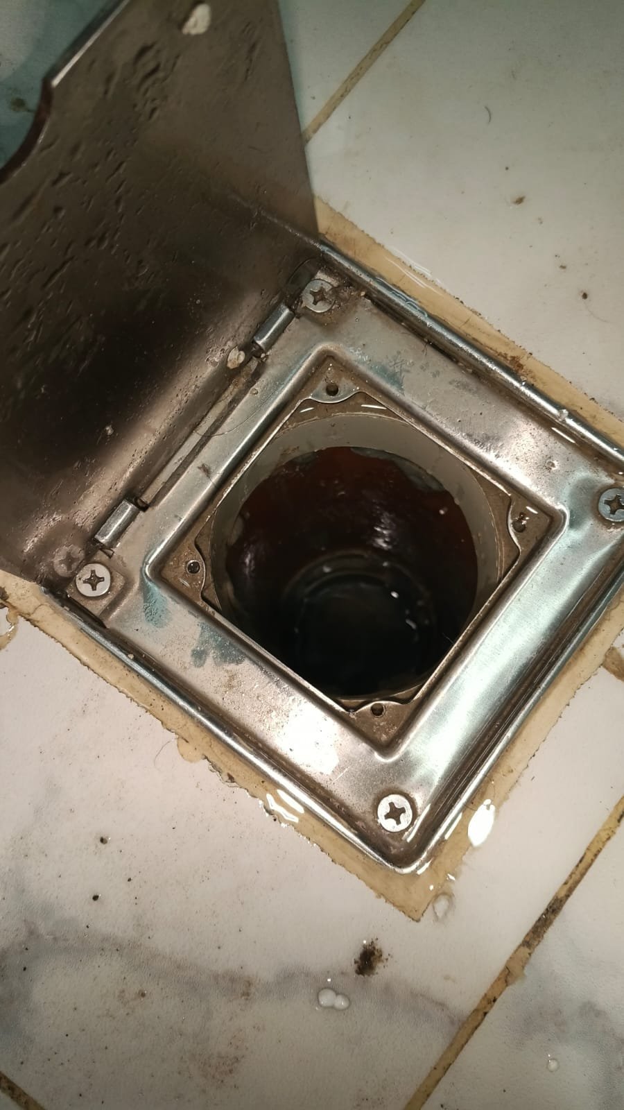 Floor drain after professional plumbing service